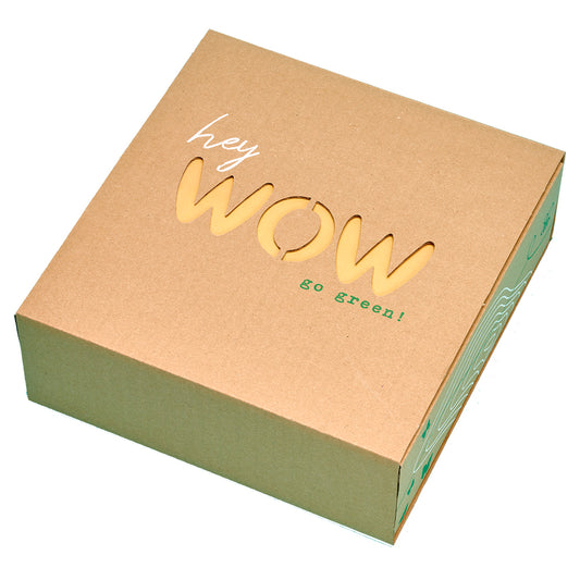 Geschenkbox aus Pappe