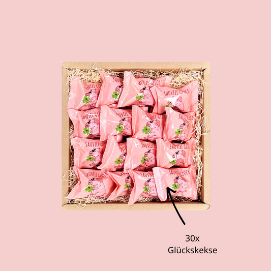Sauviel Glückskeks Geschenk Box
