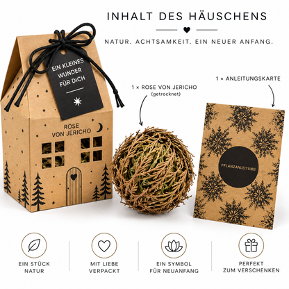 Rose von Jericho Geschenk in Hausschachtel