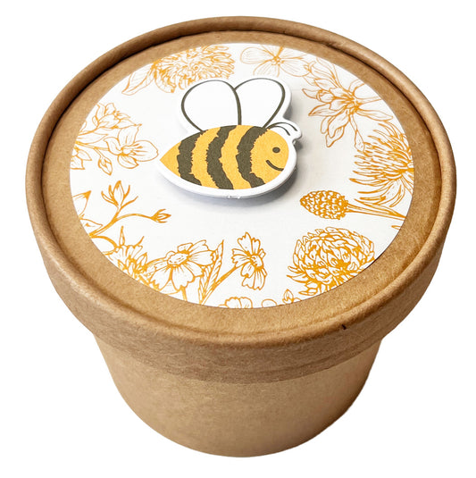 Bienenwiese Pott zum Aussäen für mehr Umweltschutz