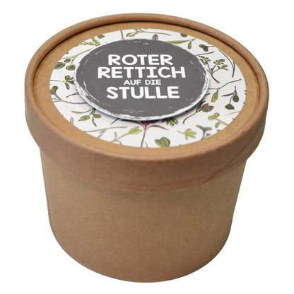 Microgreens roter Rettich zum Aussäen für den Salat
