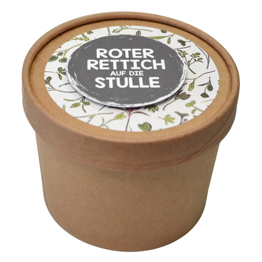 Microgreens roter Rettich zum Aussäen für den Salat