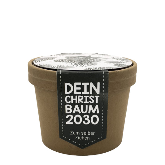 Pflanzpott mit Tannenbaum Saatgut
