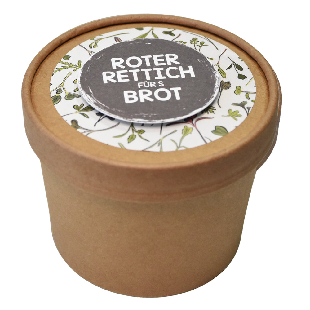 Microgreen roter Rettich Brot für´s Brot