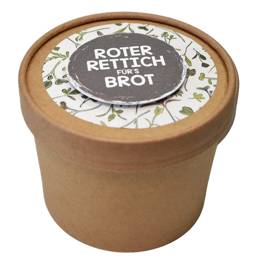 Microgreen roter Rettich Brot für´s Brot