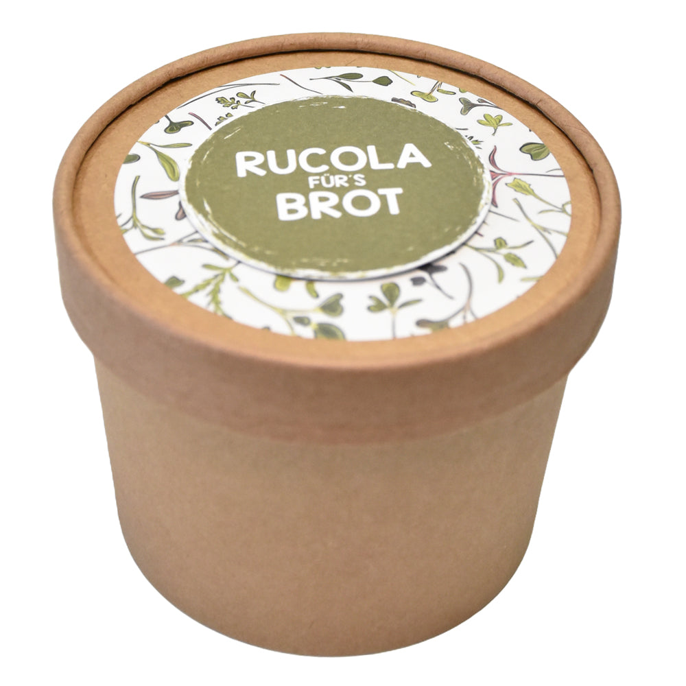 Microgreens Rucola für´s Brot Aussäen für mehr Vitamine