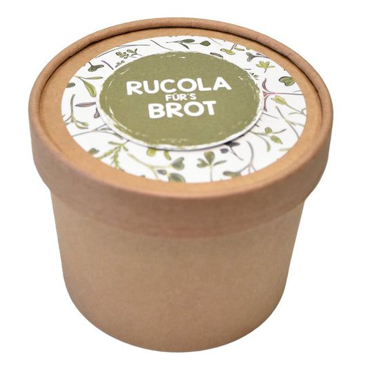 Microgreens Rucola für´s Brot Aussäen für mehr Vitamine