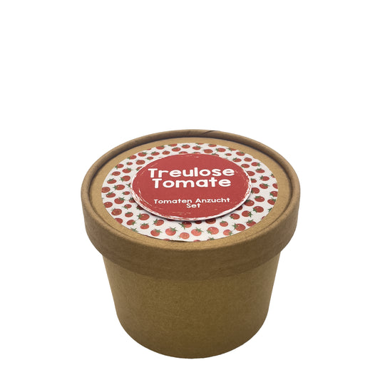 Tomaten selbst ziehen