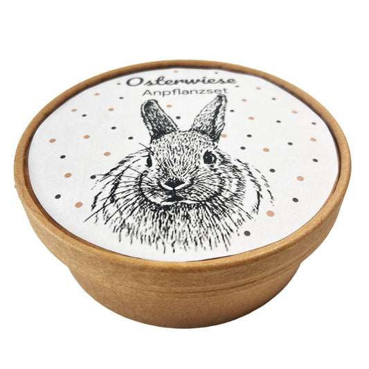 Osterwiese XL - Ostergeschenke mit Kresse & Hasen!