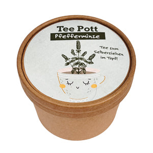 Teepott Pfefferminze  Anzucht Set