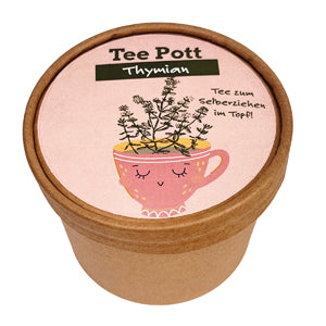 Teepott Thymian Anzucht Set