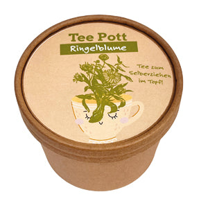 Teepott Ringelblume Anzucht Set