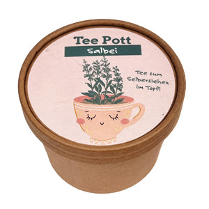Teepott Salbei Anzucht Set