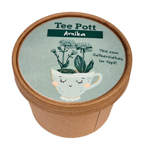 Teepott Arnica Anzucht Set