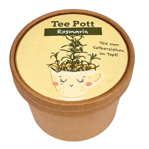 Teepott Rosmarin Anzucht Set