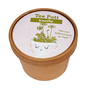 Teepott Kamille Anzucht Set