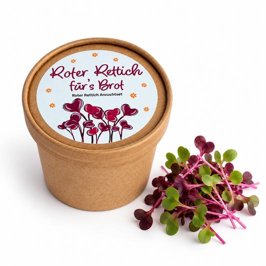 Roter Rettich für´s Brot Anzucht Set