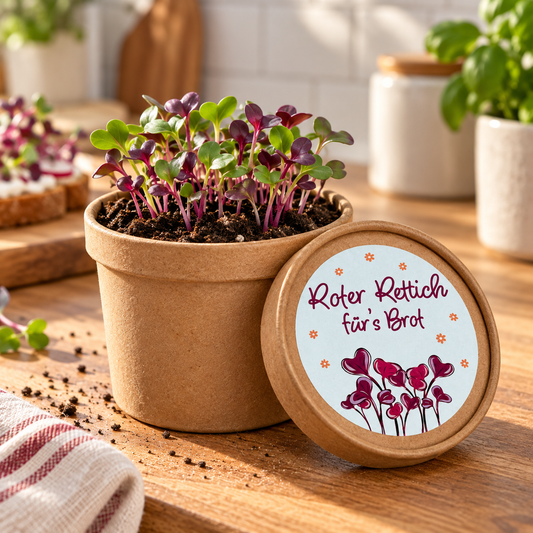Roter Rettich für´s Brot Anzucht Set
