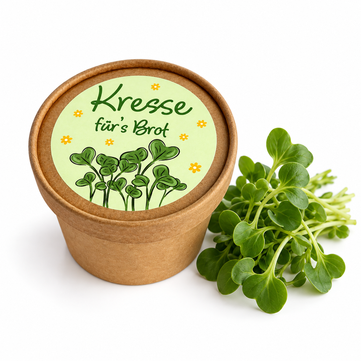 Kresse für´s Brot Anzucht Set