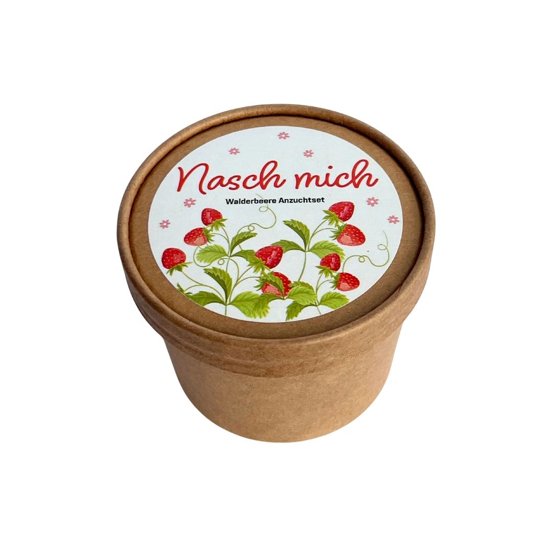 Walderdbeer Pott Anzucht Set