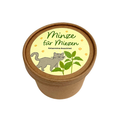 Minze für die Mieze, Katzenminze Anzucht Set