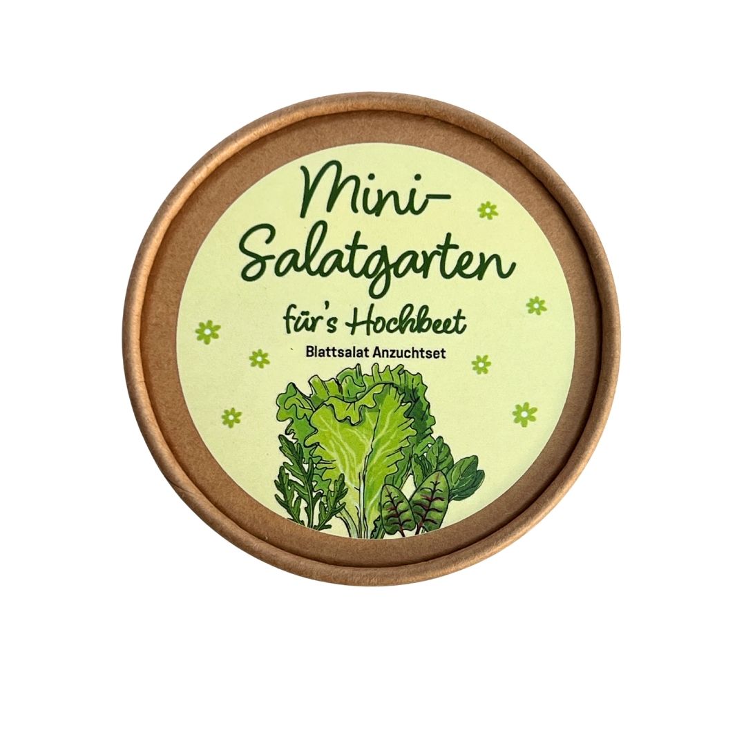 Mini Salatgarten für´s Hochbeet Anzucht Set