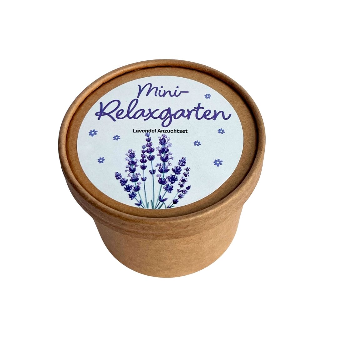 Mini Relax Garten Lavendel Anzucht Set