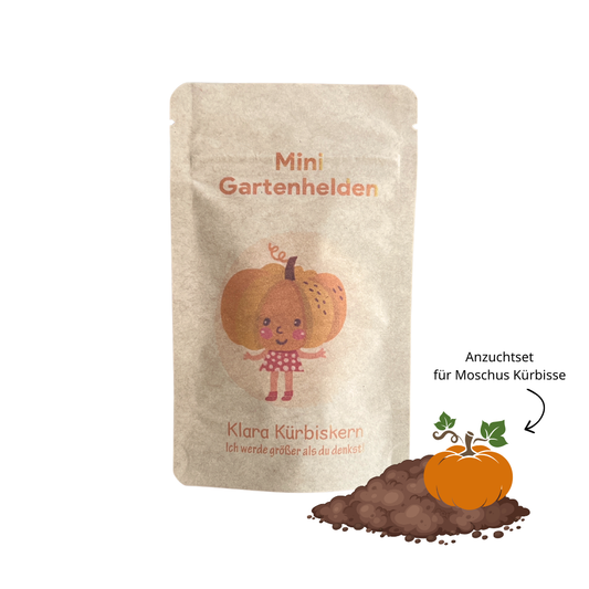 Klara Kürbiskern Anzuchtset für Kinder