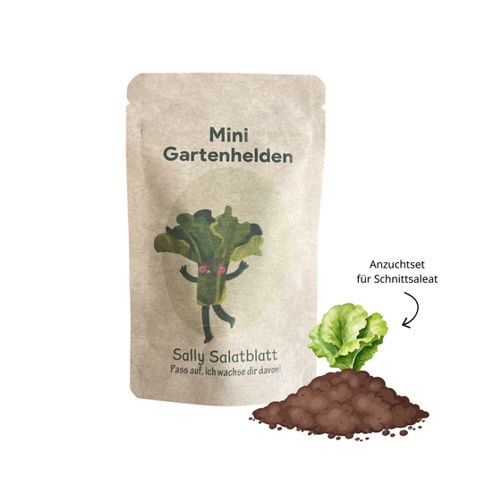 Sally Salatblatt Anzuchtset