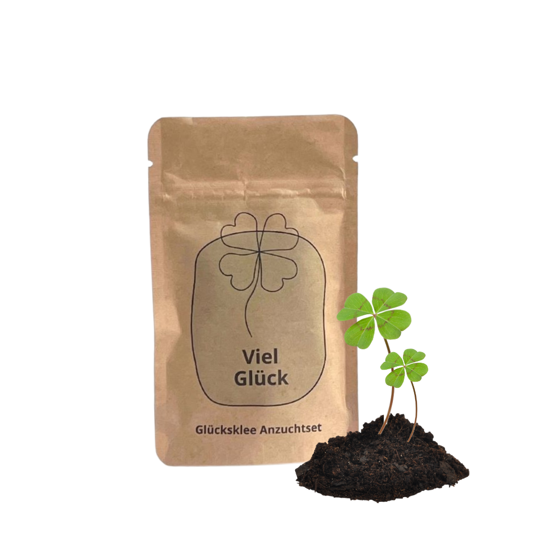 Viel Glück Anzuchtset mit Glücksklee