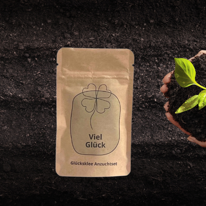 Viel Glück Anzuchtset mit Glücksklee