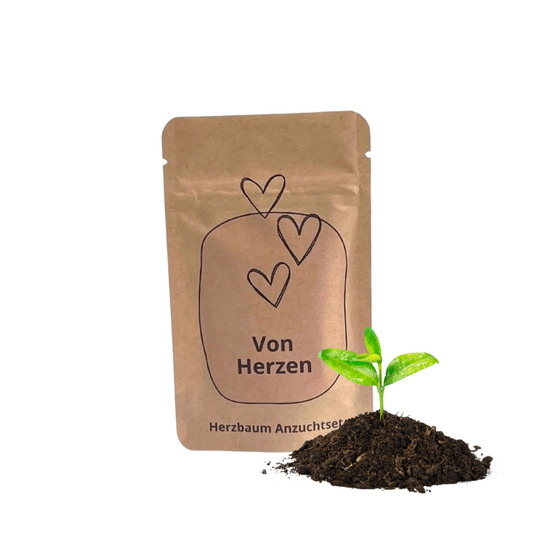 Von Herzen Anzuchset für einen Herzbaum
