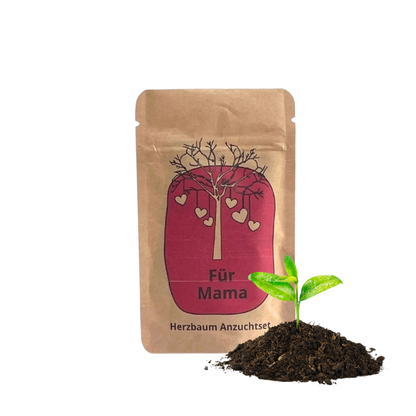Für Mama Anzuchset für einen Herzbaum