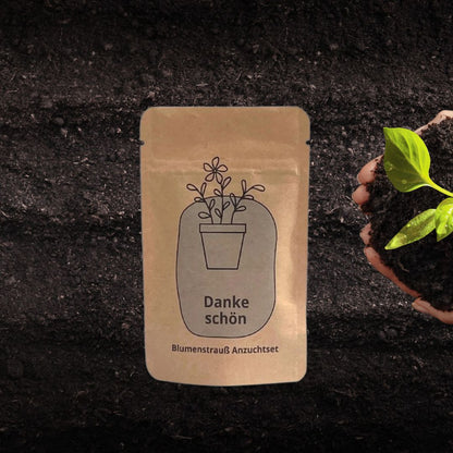 Danke schön Anzuchset als kleines Dankeschön Geschenk