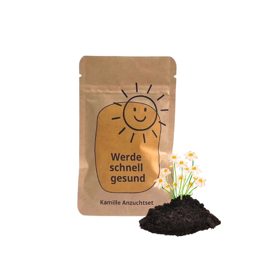 Werde schnell gesund Anzuchset als Genesungsgeschenk