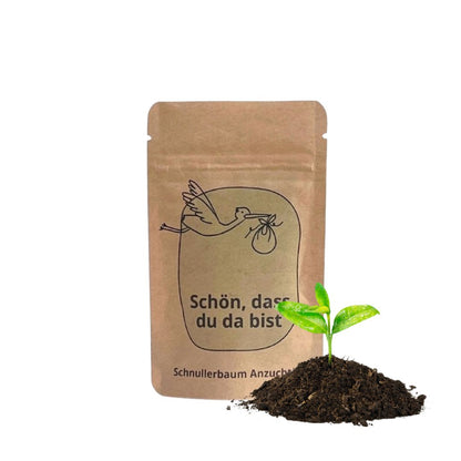 Schön, dass du da bist Anzuchtset zur Geburt