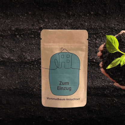 Zum Einzug Anzuchtset