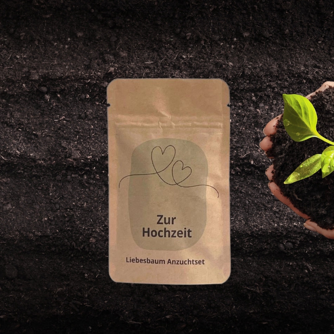 Zur Hochzeit Anzuchtset