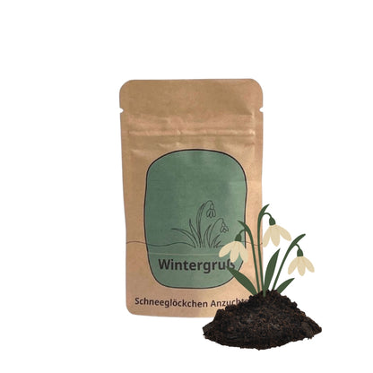Wintergruß Anzuchtset mit Schneeglöckchen Samen