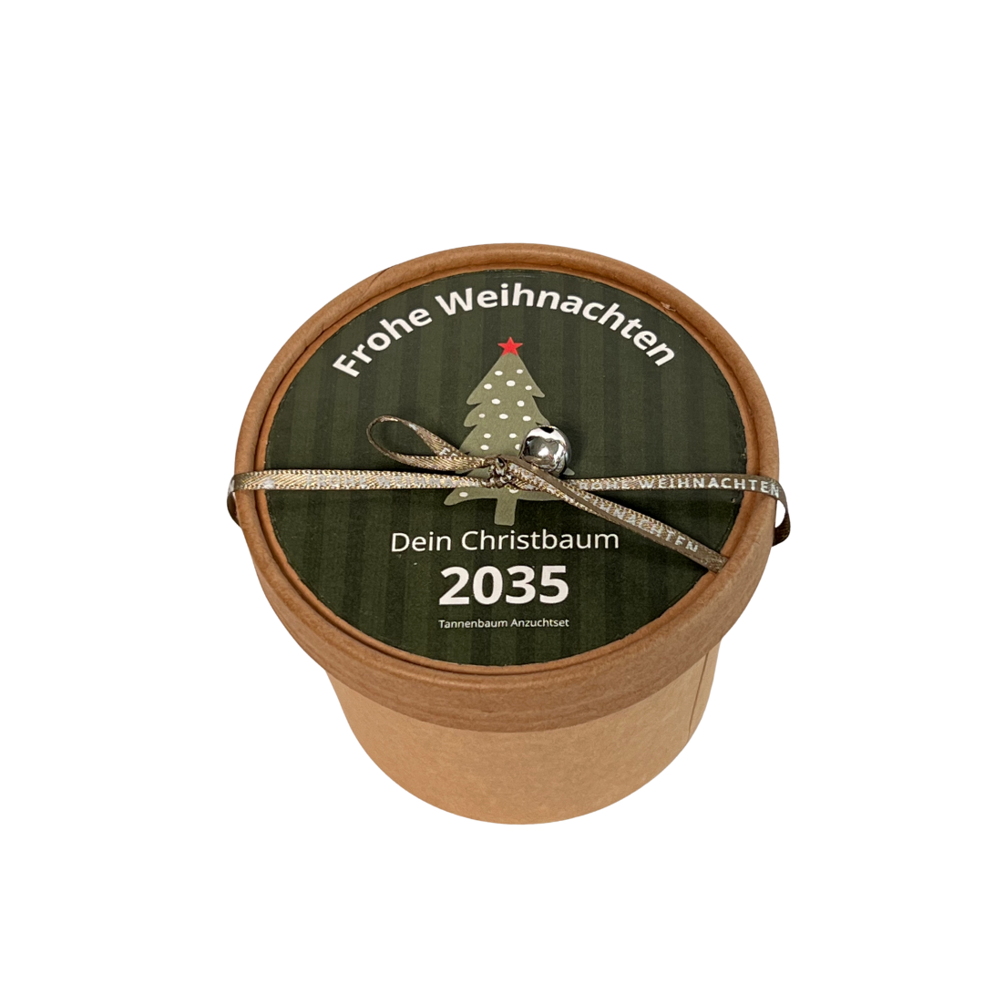 Dein Christbaum 2035 als ökologisches Pflanzset