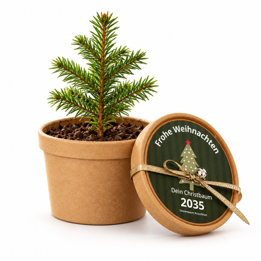 Dein Christbaum 2035 als ökologisches Pflanzset