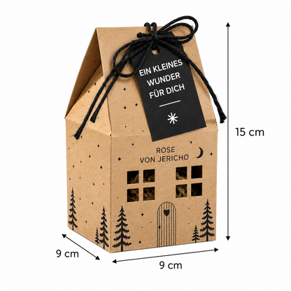 Rose von Jericho Geschenk in Hausschachtel