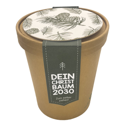 Dein Christbaum 2030 Pflanzset groß