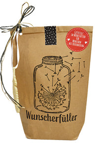Wunscherfüller Pusteblume