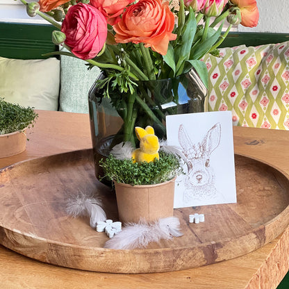 Osterhasengruß Wundertüte in sonnigem Gelb