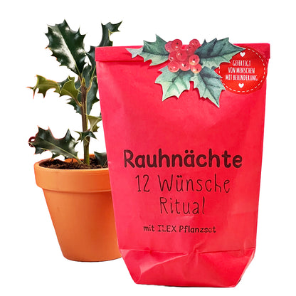 Rauhnächte 13 Wünsche Ritual Wundertüte mit ILEX Pflanzset