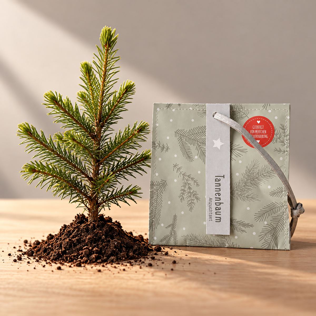 Kleiner Weihnachtsgruß mit Tannenbaum Saatgut - Mitbringsel zu Weihnachten