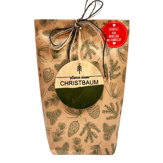 Pflanz einen Christbaum Wundertüte mit Tanne