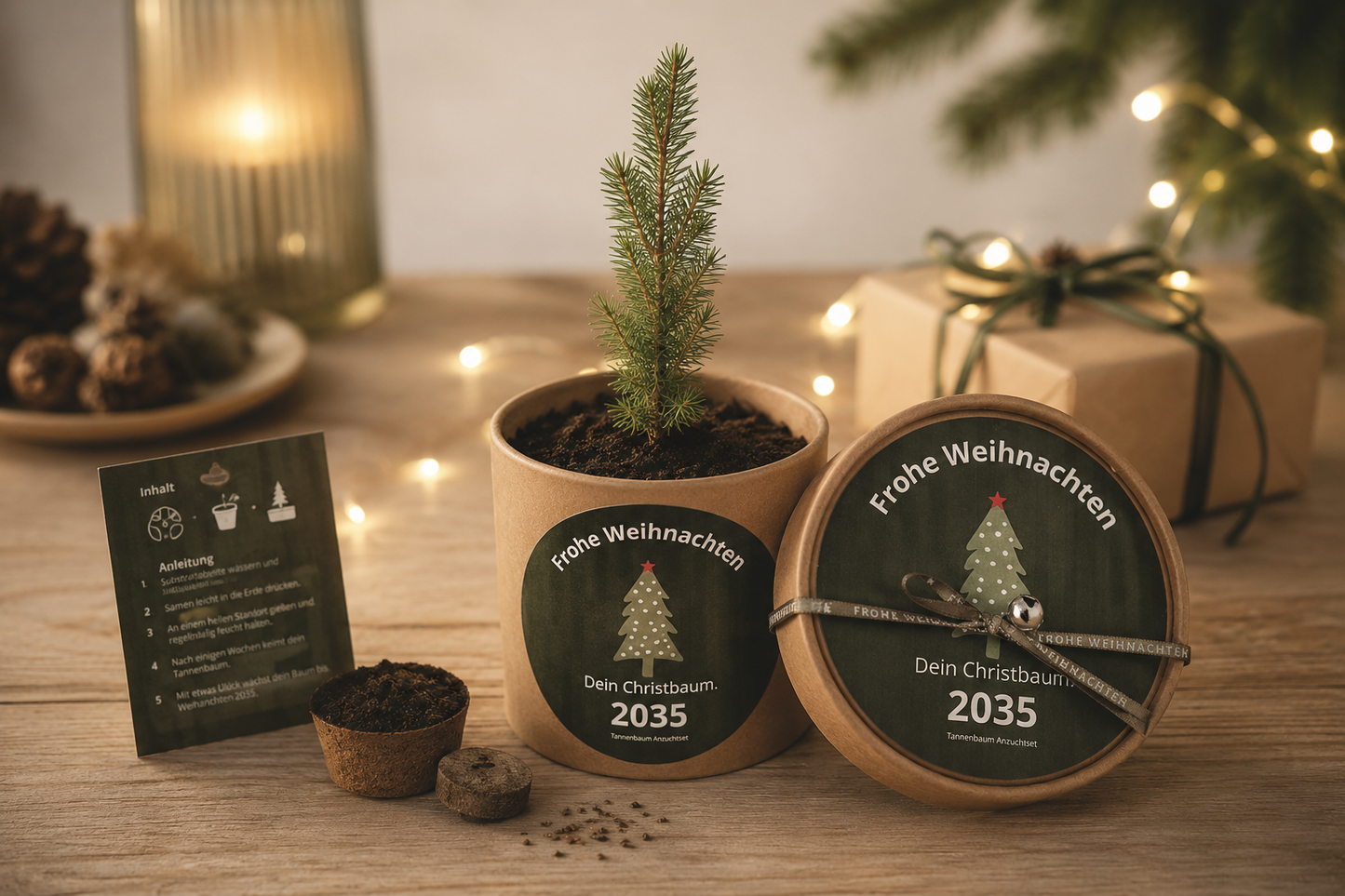 Dein Christbaum 2035 als ökologisches Pflanzset